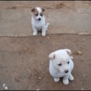 더큰농장 이미지