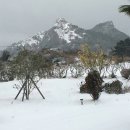 힐빙 인 제주 이미지