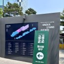 반려견행사 킁킁쿵쿵 캠페인 시즌2 참여 후기 in 서울숲