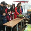 옥구중학교 이미지