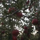 부석사가는길에 이미지