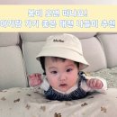 추동 호반길 | 🌿 날씨 풀리면 떠나세요! 대전 근교 아기랑 봄 나들이 코스 추천
