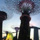 호텔 레드하우스 이미지