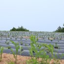 고현저수지 이미지