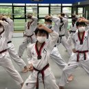 중남키즈태권도장 이미지