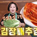 김보은김장 김치/백반집/육수고추가루투입김치 이미지