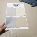 어스펫 | 푸우형 매트 실사용 후기 (중형견) 밀림현상, 장단점_실리어스 푸우형 x 실리텍스 롤매트