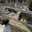 블루 | 광주 아이랑 카페 추천｜동물체험 가능한 매월동 헤이블루 후기