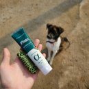 알파덴탈 이미지