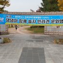 댕댕아 놀자 이미지