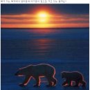 바로부동산중개사무소 이미지