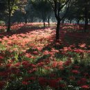 곰소농장 이미지