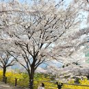 한산6교 이미지