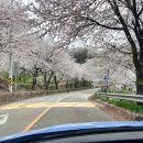 도미당약국 이미지