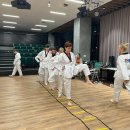 봉황태권도 이미지