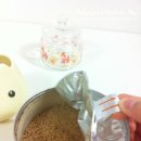 Dream Time(드림 타임) 이미지