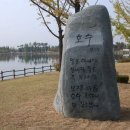 돛골 이미지