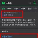 수풀로영문리 네이버블로그