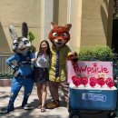 주식회사 해피스케치 | #Vacation_3 디즈니덕후의 생일에 나홀로 디즈니 캘리포니아 어드벤처 방문기🥹🫶 (밋앤그릿 꿀팁...