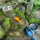 소리산참숯마을 이미지