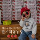 아꼬아체험농장