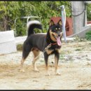 선산농장 이미지