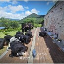 부산시설공단추모공원 | 부산추모공원 봉안당 안치 후기, 선택 이유