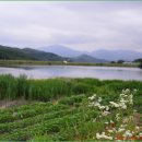 태화초교병설유치원 이미지