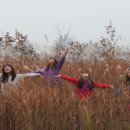 용미초등학교 이미지