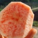 민교농장 네이버블로그