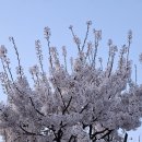 세븐일레븐 이동터미널점 이미지