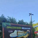 태학산자연휴양림오토캠핑장 | 태학산 자연 휴양림 야영장 오토캠핑장 가족 바비큐장 종일 이용 후기