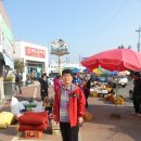 녹색농촌체험관 Daum카페