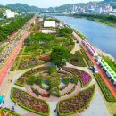 장미의거리10 이미지