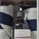 한 웅큼의 빛 | 탈모샴푸 추천 프라젠트라 임산부샴푸 후기