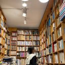 코모도조선호텔가화정 | 부산 코모도호텔 조식 예약 객실 컨디션 위치 스탠다드 더블룸 내돈내산 솔직후기
