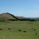 하도목장 이미지