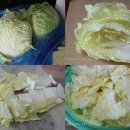 추양농장 이미지