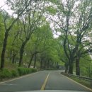 오빠야마트 이미지