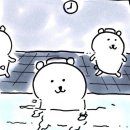 스프링헤어 이미지