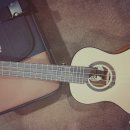 우쿨렐레(중,고급) 이미지