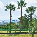 월라봉파크골프장 이미지