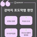 왜관동물병원 이미지