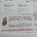 아티클 광화문 | 지면 신문 조각 - 5월