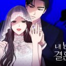 디앤씨엔터테인먼트(주) 네이버블로그