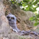 천수만농장 이미지