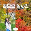 도척면-2 | 화담숲 단풍시기 맛집 모노레일 주차 실시간 2025 후기