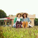 번암초등학교 이미지