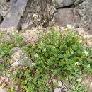 의령 율리재 이미지