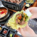 바른고기엘베요타 이미지